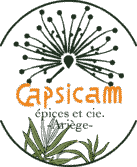 boutique.capsicam.fr