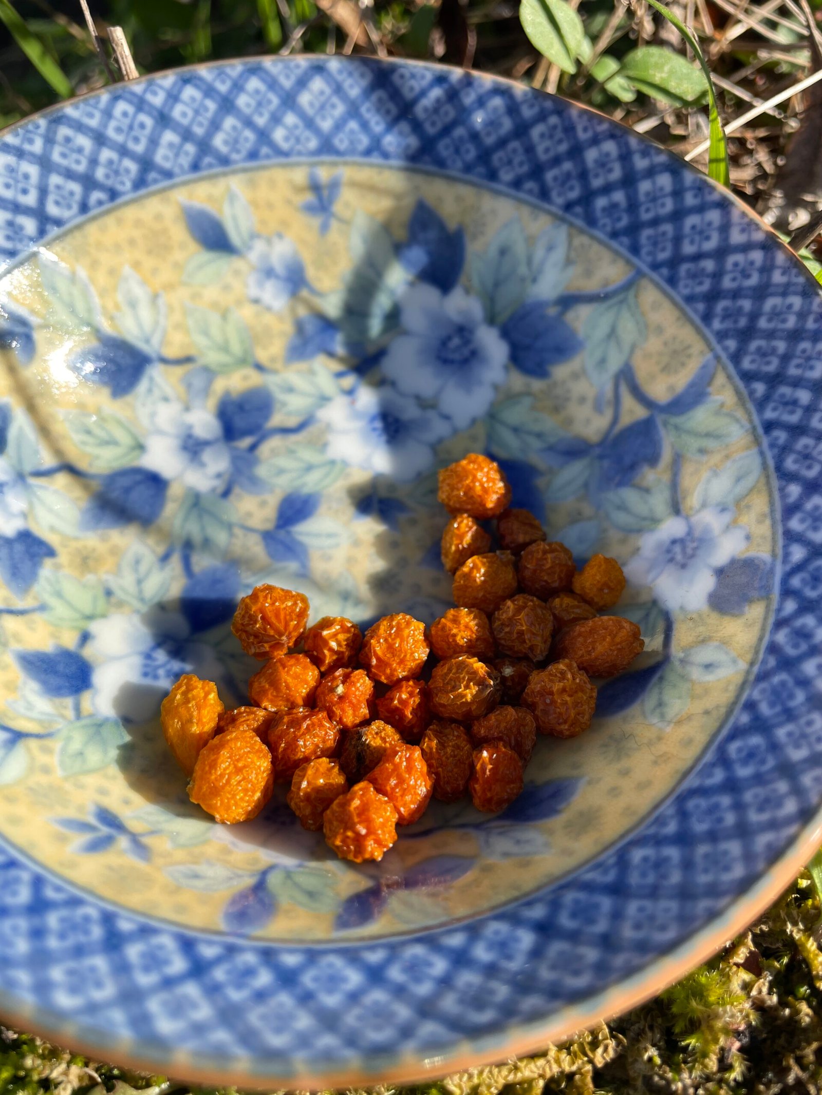 piment le plus cher au monde