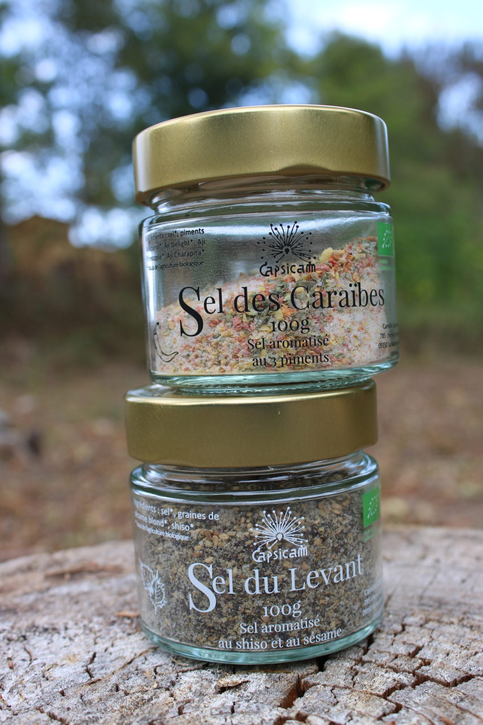 Gamme des sels aromatisés Capsicam : Sel des Caraïbes et Sel du Levant